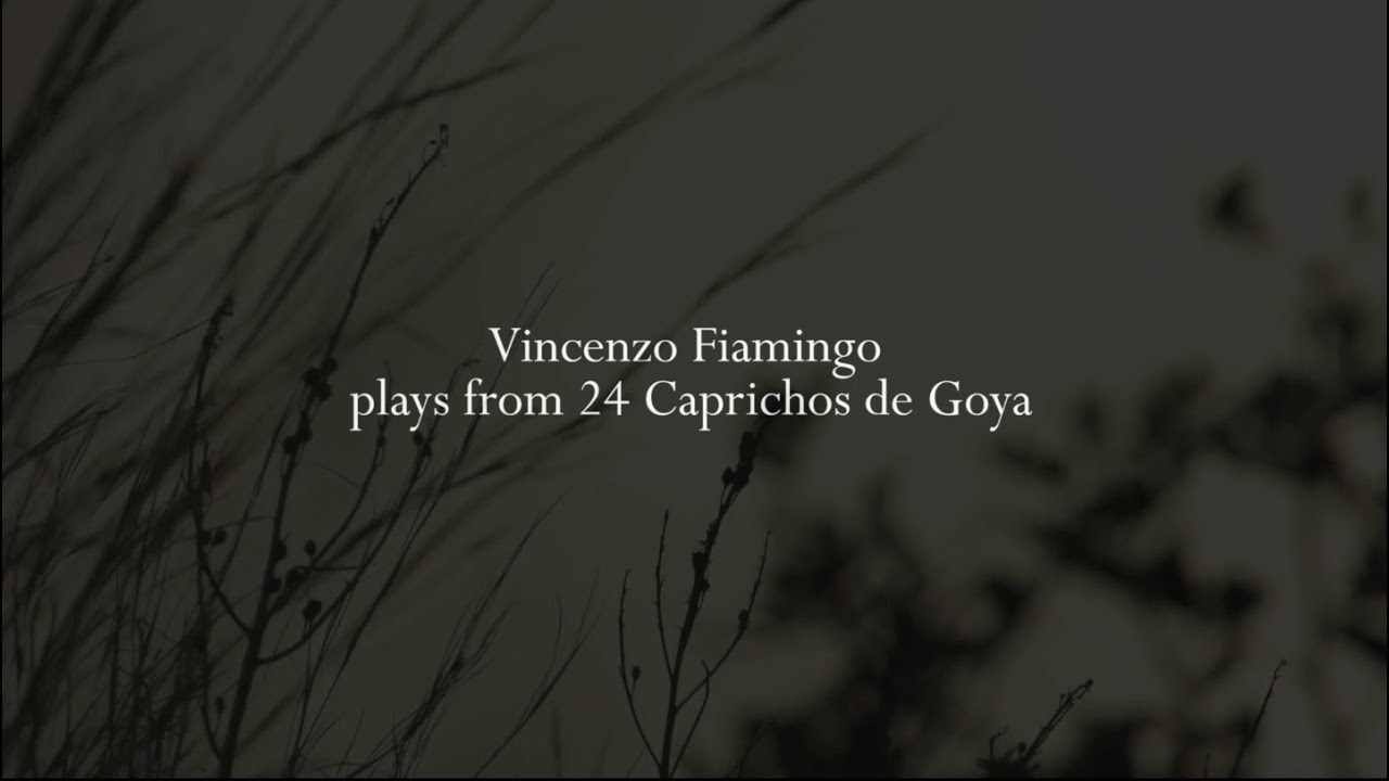 Vincenzo Fiamingo plays Capricho de Goya no. 20 (Obsequio a el maestro)