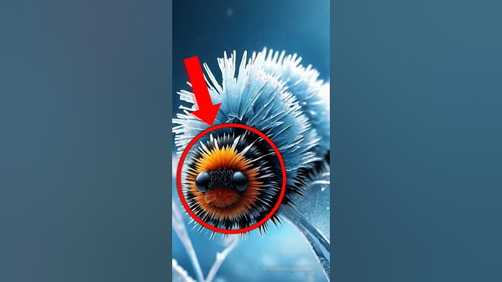 Top 3 Animals That Can Survive Being Frozen Alive!😱❄️