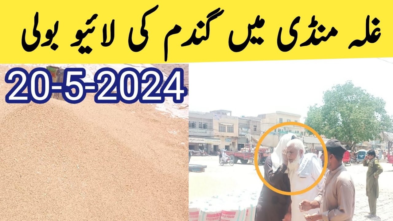 Galla Mandi Ma Gandam ki Live Boli | Today wheat In Price - YouTube