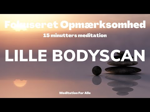 Video: En Rejse Gennem Kaos Og Ro: Oplevelser Af Mindfulness-træning Hos Patienter Med Depressive Symptomer Efter En Nylig Koronar Begivenhed - En Kvalitativ Indholdsanalyse Fra Dagbogen