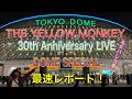 ネタバレ注意!THE YELLOW MONKEY 30th Anniversary LIVE -DOME SPECIAL -
