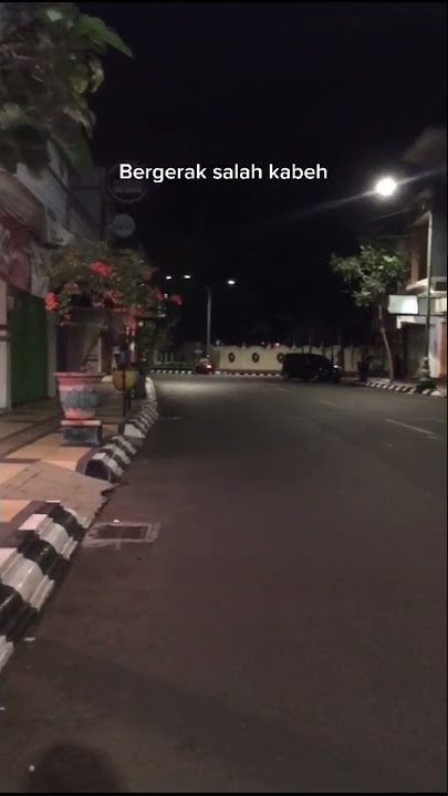 story wa 30 detik diam tolah toleh bergerak salah Kabeh ws mboh su asu😼🤙