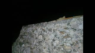 C1RECORDING160111.mov