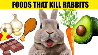 14 Foods That Will KILL Your Rabbit