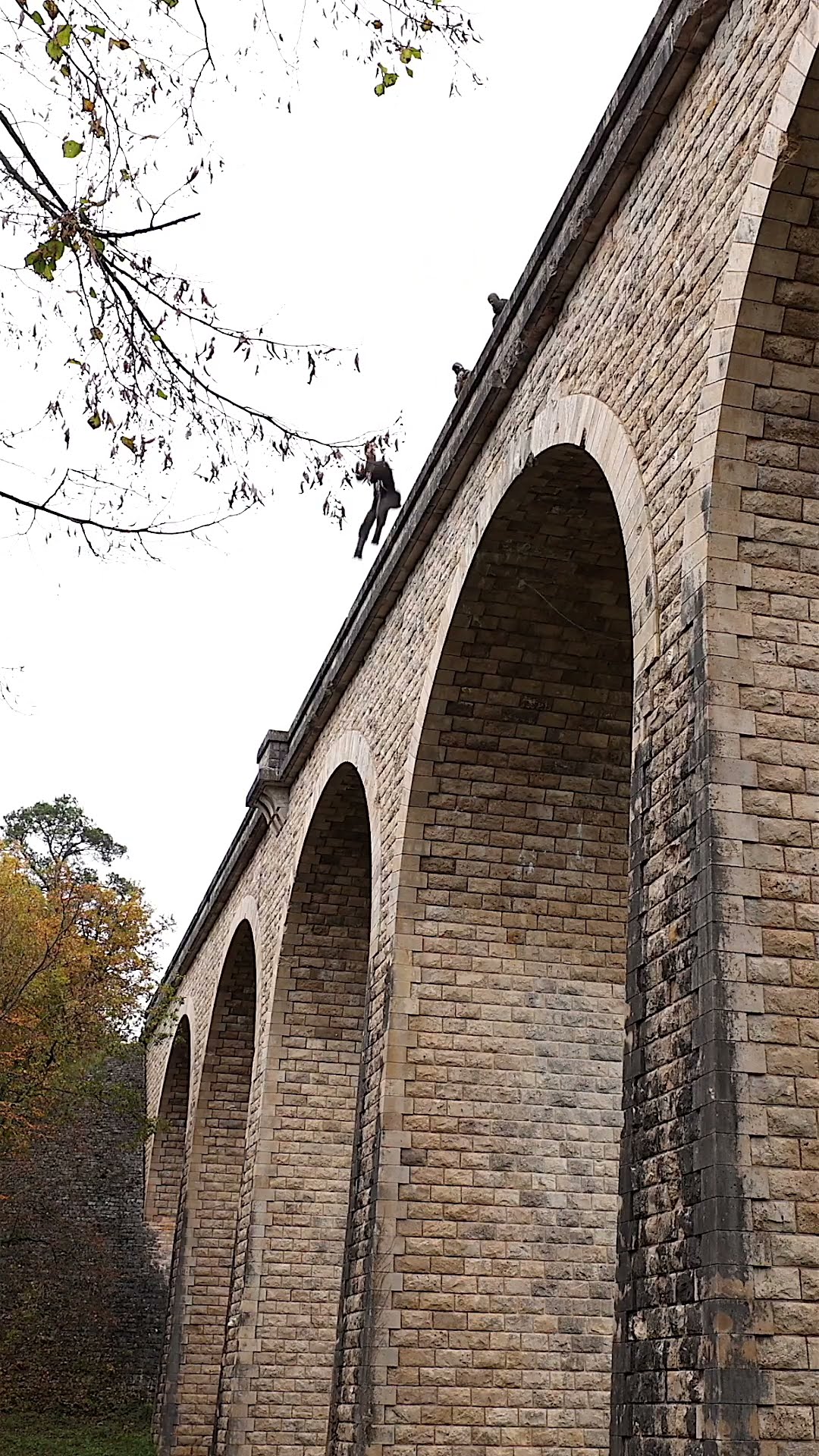 Bridge jump !! ??