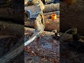 more loader grapple repair.