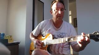 Feline guitar lion