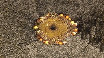 ULTIMATE ZOMBIE WAVE - They Are Billions