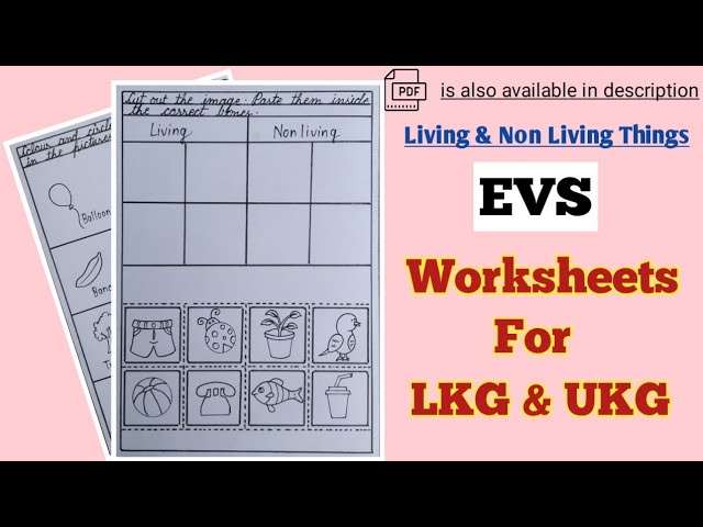 evs worksheets for lkg ukg living or non living things evs worksheet worksheet for lkg ukg youtube