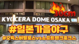 【일본 야구⚾️】 오사카 교세라 돔 | 2022.10.14 | 가을 야구🍁 | 주변 먹거리🥢