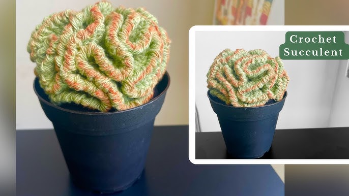 Cuteeeshop Kawaii Crochet Cactus Starter Kits with Easy Peasy Yarn Easy  Crochet Yarn Plants DIY Crochet