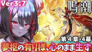 燈桜メリア ‖ HizakuraMeliaの配信のサムネイル画像