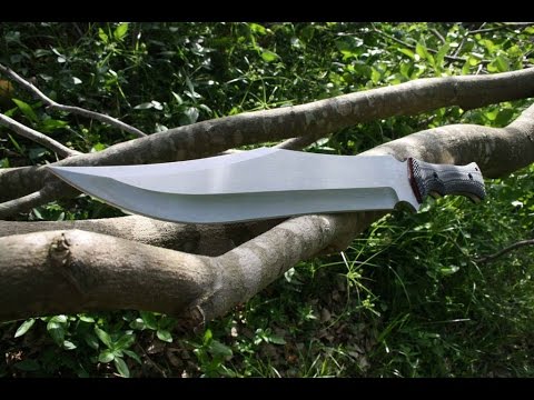 M.tech Raptor MTech raptor Bowie - YouTube