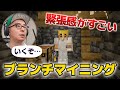 ブランチマイニングしようとしたら、洞窟が広すぎて怖すぎて… / 瀬戸のマイクラ生配信 Part 6