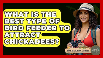What Is The Best Type Of Bird Feeder To Attract Chickadees? - Bird Watching Diaries