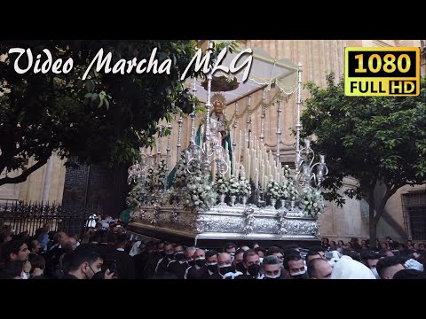Antigua, Venerable Hermandad y Cofradía de Nazarenos de Nuestro Padre Jesús de la Soledad, Negaciones y Lágrimas de San Pedro, María Santísima del Dulce Nombre y San Francisco de Asís