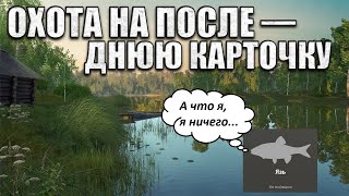 Русская рыбалка, день 5 | Снова выдвигаюсь за Язём и фановым общением на Комаринке.