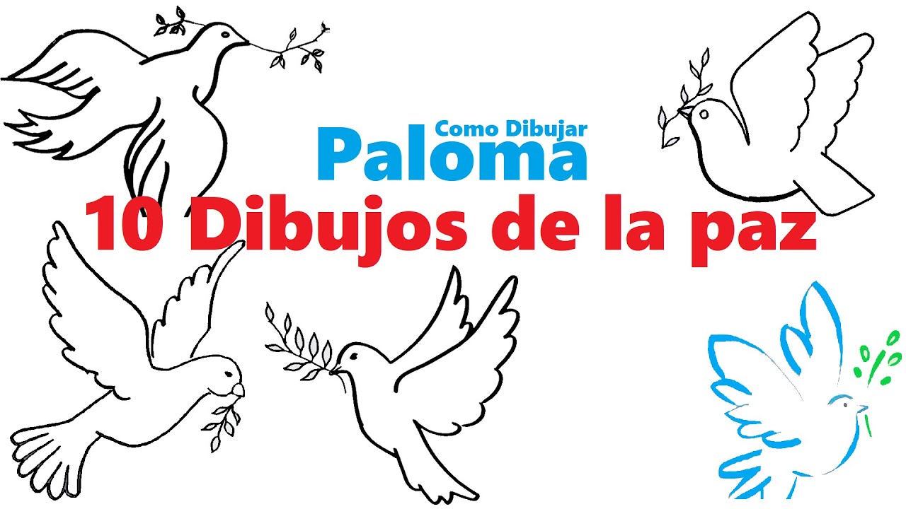 10 Dibujos de la paz - Como Dibujar Paloma - Palomas Dibujos