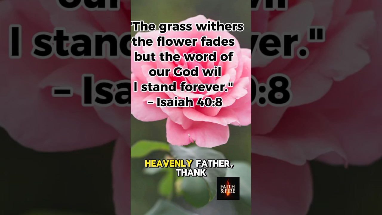 God’s Beauty Revealed 