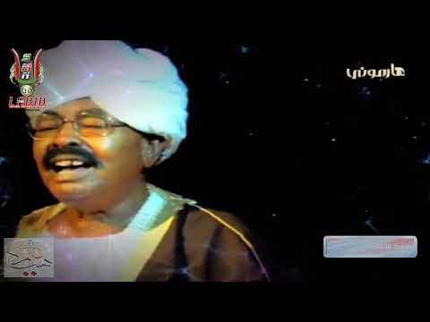 سيد السماحة أه و أه والف أهة يا أخوانا من سيد السماحة علي إبراهيم اللحو بالعود 