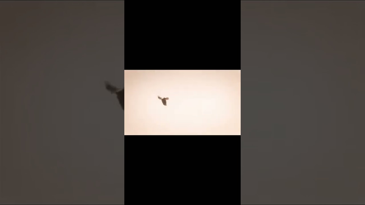 Thala Ajith Kumar Animation Video