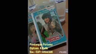 Elvy Sukaesih/Pandangan Pertama