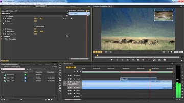 How to do PiP frame animation with customized coordinates in Adobe premiere Pro CS6