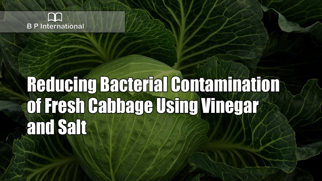 Reducing Bacterial Contamination of Fresh Cabbage Using Vinegar and