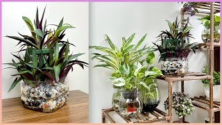 Enjoy The Unique Way Of Growing Plants To Highlight Your Home Space