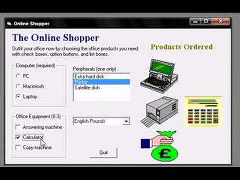 Visual Basic
