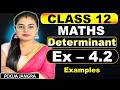 Class 12 maths Ex-4.2 Examples | Determinants Examples | Class 12 Maths Ch-4 examples #class12maths