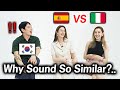 Korean Was Shocked By How Similar Spanish and Italian Is l Can They Understand Each Other?