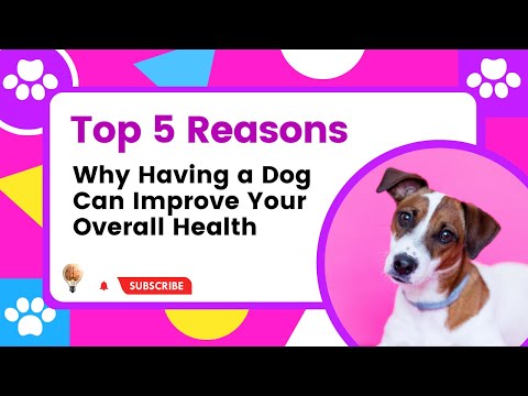 Video: Patarimai, kaip sustiprinti šuns „buvimą“komandoje