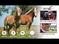 REITTV-Tipps: Mit Rückschlägen umgehen