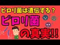 【ゆっくり解説】ピロリ菌は遺伝するの？怖いピロリ菌の真実！