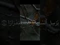 قران كريم بصوت الشيخ ماهر المعيقلي قران كريم بصوت الشيخ ماهر المعيقلي