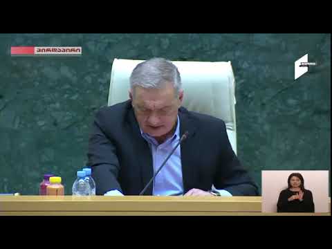 ვლადიმერ მგალობლიშვილი გამოსვლა საქართველოს პარლამენტის პლენარულ სხდომაზე