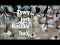 Ywy jest koci twj  piosenka roku 20232024 ruchu wiatoycie