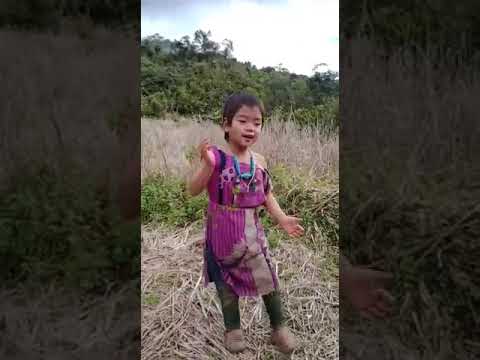 so funny video or so cute 🤣
