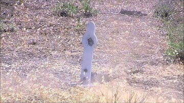 AR500 Spring Back Pepper Popper Steel Target