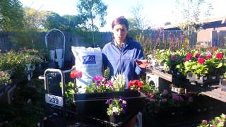 How to Create Window Boxes