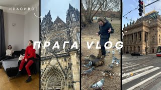 2. Прага: архитектура, вкусные места, видовые старбаксы, нутрии и 20 часов на поезде