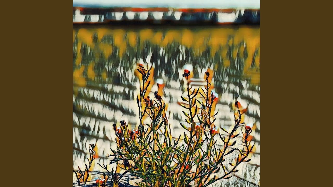 在 YouTube 上觀看「Temperature Variables」