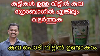 കൂവപ്പൊടി വീട്ടിലുണ്ടാക്കാം #Koova Krishi #How to make Arrowroot Powder at home Malayalam #kl06 farm