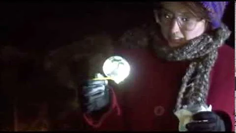 Polar Vortex Bubbles