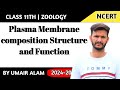Plasma Membrane Composition and Models