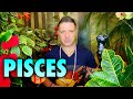 PISCES January 2022 ♥️ MASSIVE WAKE UP CALL!! | Realisation | NEXT STEP - Pisces Tarot Horoscope