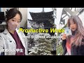 Productive Week: Japanese Med Student | WHO, BCG… and My Dad? | 医学生の1週間