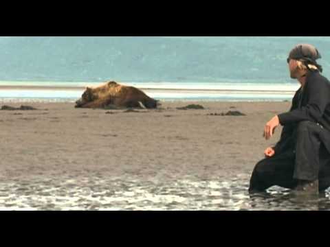 grizzly man stream deutsch grizzly man stream deutsch