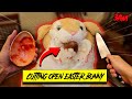 **GROSS** DO NOT CUT OPEN A GIANT EASTER BUNNY AT 3AM (EASTER BUNNY SUMMONED!!)